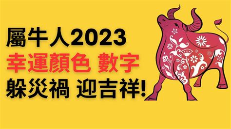 2023屬牛|【屬牛2023生肖運勢】財運漸入佳景，感情運喜中帶。